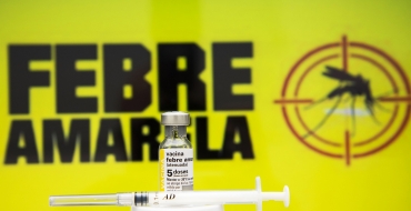 Surto de febre amarela avança para Sudeste e Sul, alerta OMS