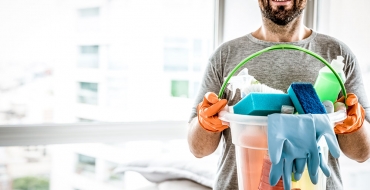 Traças em casa: entenda por que esses insetos aparecem e saiba como evitá-los