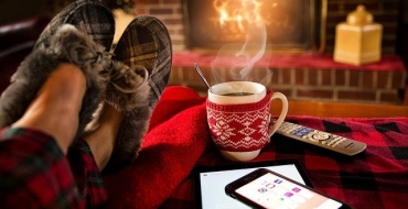 As pragas de inverno. Medidas para um verão mais tranquilo.