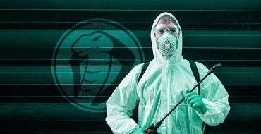 5 indícios de que você precisa proteger a sua casa contra as pragas