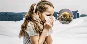 Pequenos, mas bem problemáticos: conheça melhor os ácaros