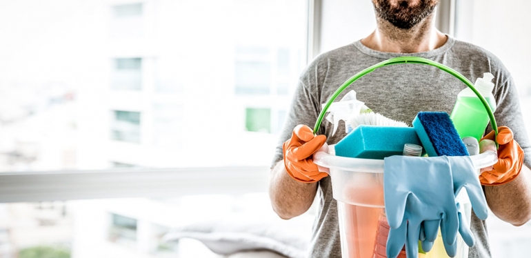 Traças em casa: entenda por que esses insetos aparecem e saiba como evitá-los