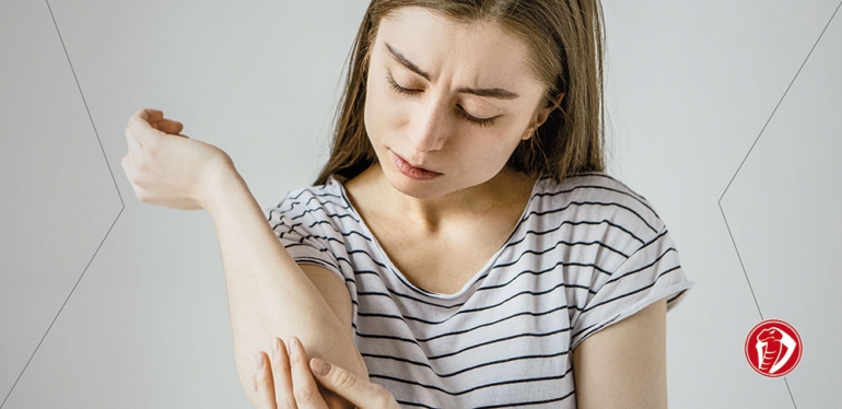 Acidentes com animais peçonhentos aumentam no verão: saiba se prevenir