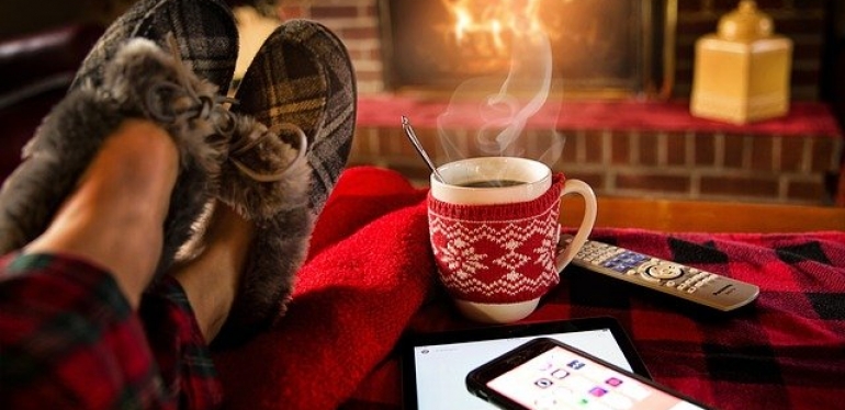 As pragas de inverno. Medidas para um verão mais tranquilo.