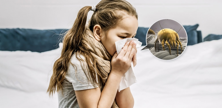 Pequenos, mas bem problemáticos: conheça melhor os ácaros